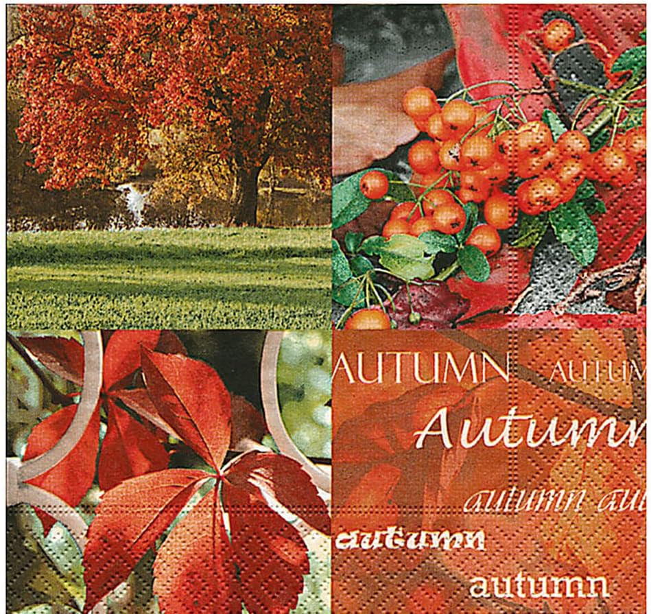Zellulosetücher, die Natur des Herbstes“ (Inhalt 1)