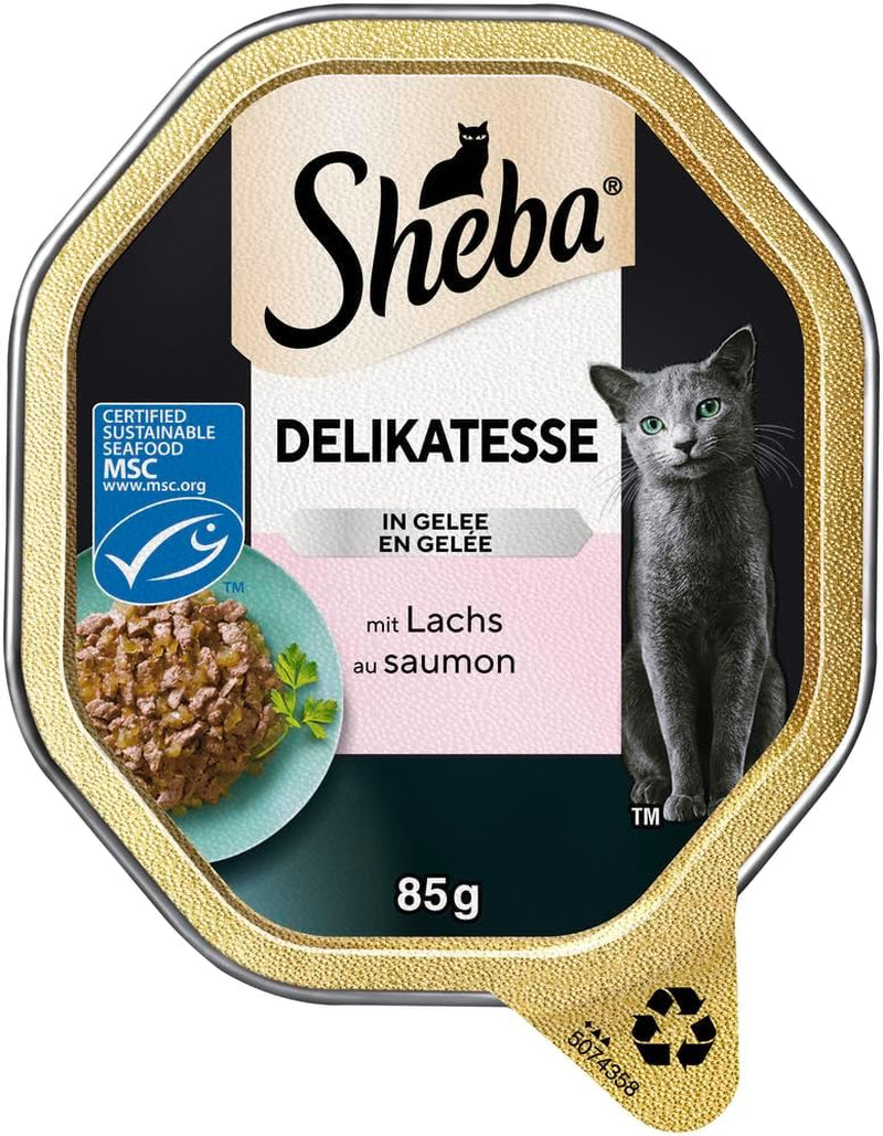 Sheba Nassfutter für Katzen, Delikatesse in Lachsgelee, 2 x 11 x 85 g