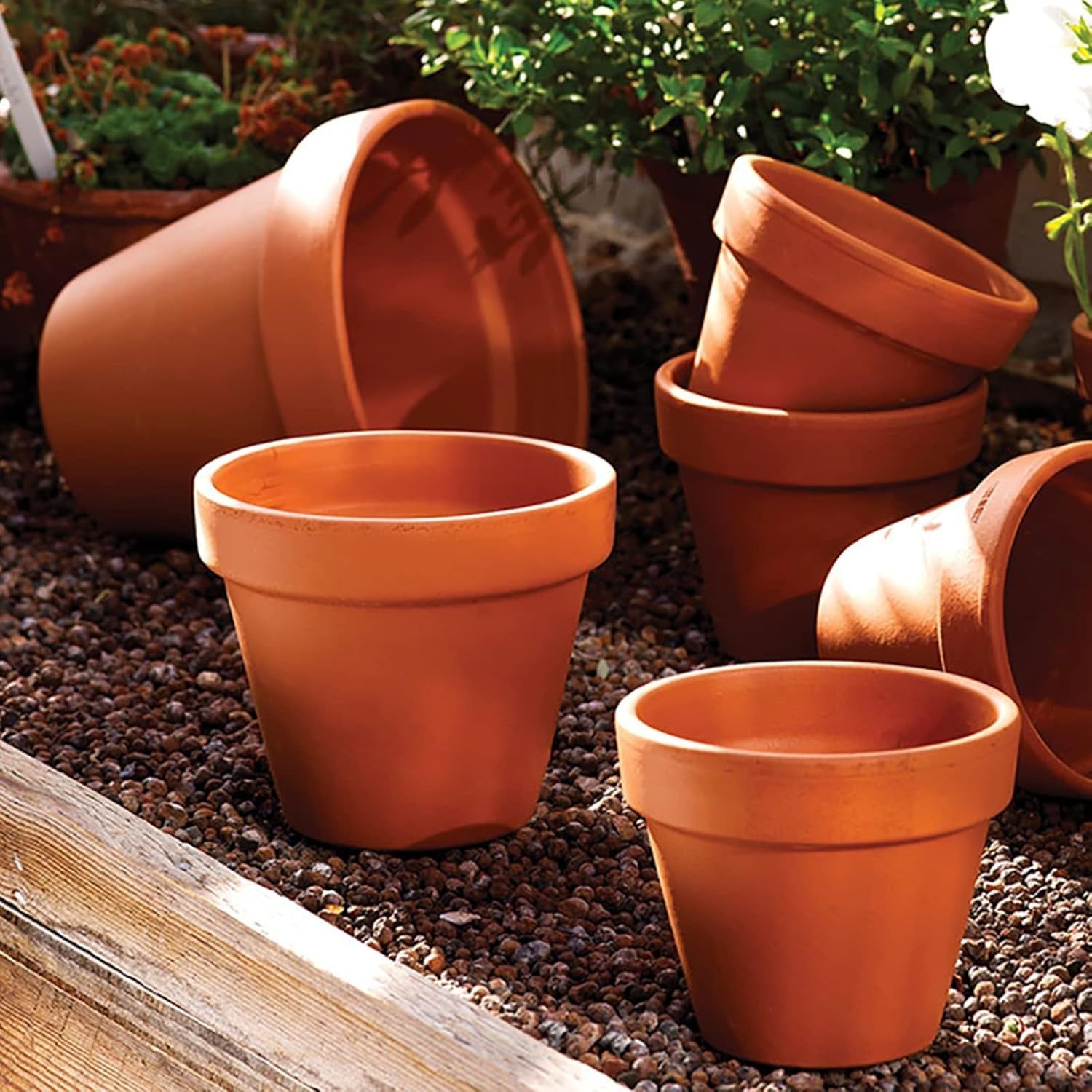 Hollyone 8-teiliges kleines Terrakotta-Pflanzgefäß-Set, 8 x 8 cm runde Tontöpfe mit Platte und Drainageloch, kleine Pflanzgefäße mit Tablett, Terrakotta-Sukkulentententöpfe für Zimmerpflanzen, Keramik-Pflanzgefäße
