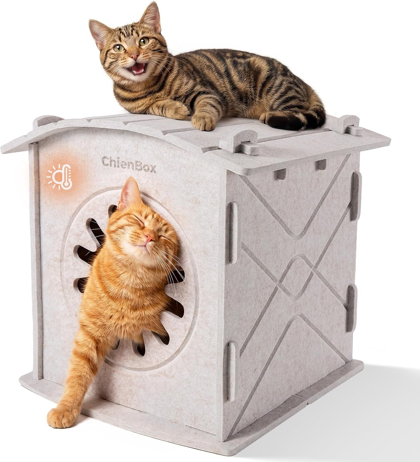 Katzenhaus Indoor aus Filz: Warmes und gemütliches Katzenbett, Katzenhöhle mit beruhigendem Kratzbogen, robuste & kratzfeste Katzenhöhle, abnehmbares Katzenbett, Katzen Haus 38 x 36 x 38 cm