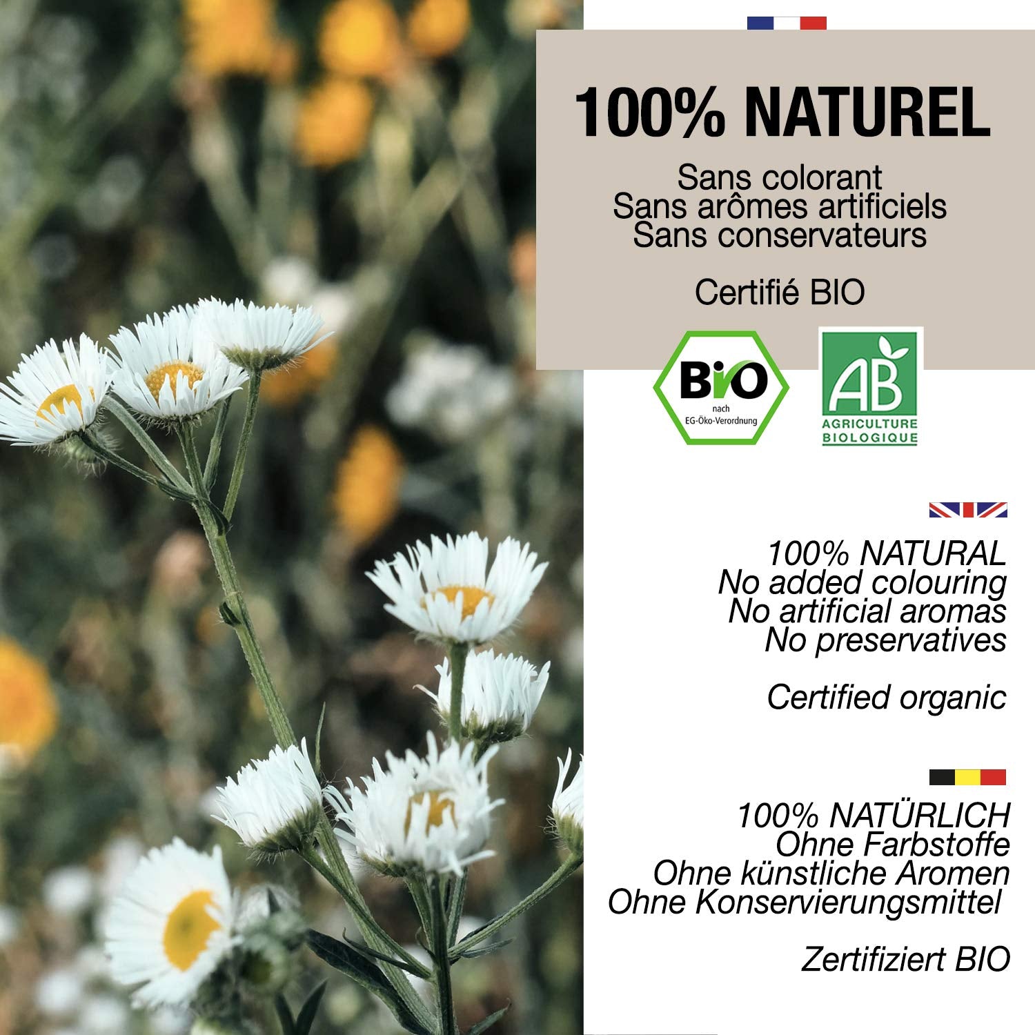 ORIGEENS Bio-Kamillenblütentee aus Europa, 100 g | Loser Blatttee, Bio-Tee für Schlaf und Verdauung | Deutsche Kamille | Zertifiziert und verpackt in Deutschland