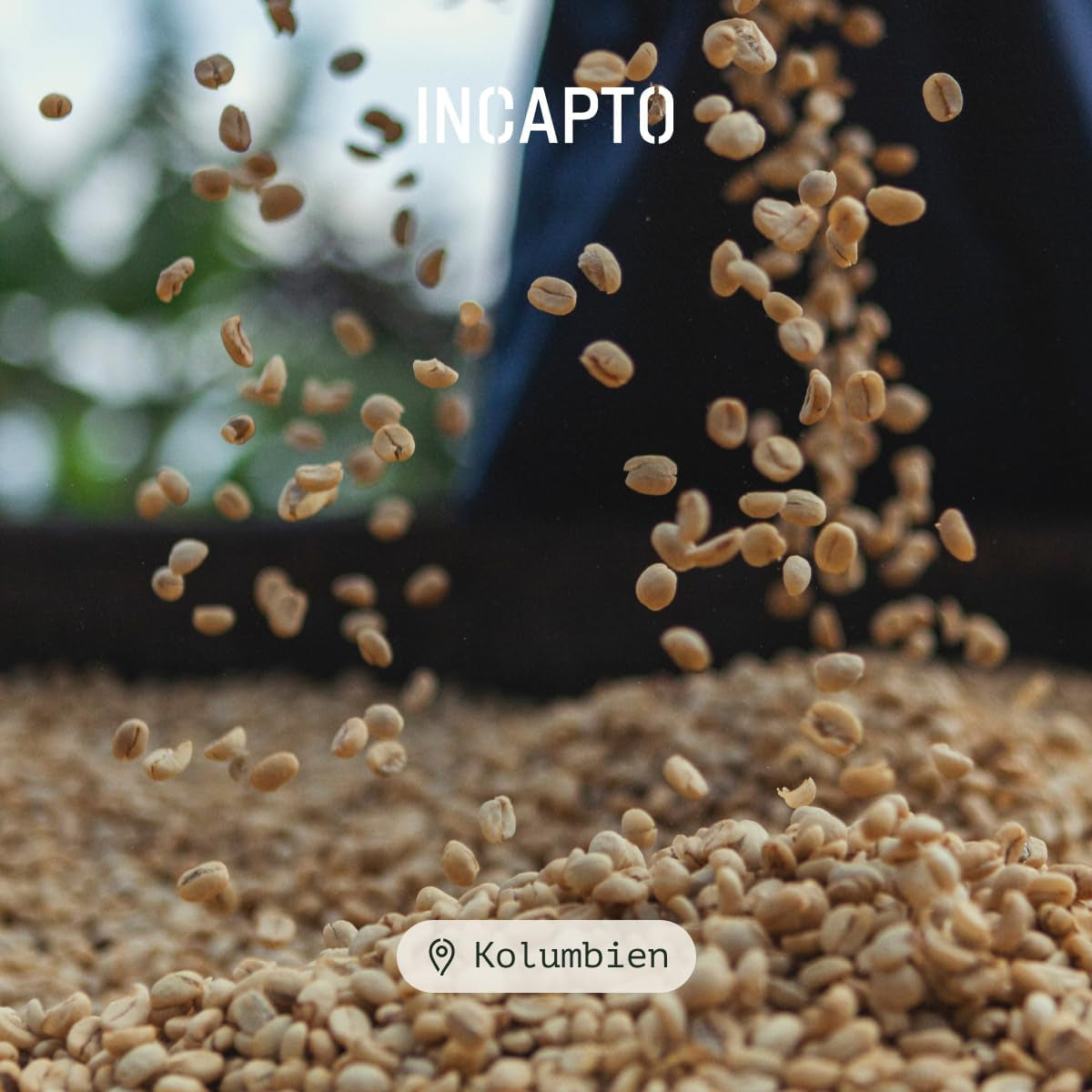Incapto Spezialitäten-Kaffeebohnen | Single-Origin-Kolumbianer | Espresso 100 % Arabica | Spezialitätenkaffee 84 Punkte SCA | Traditionell gerösteter Bohnenkaffee | Plantage Huila, Cadefihuila, 1kg