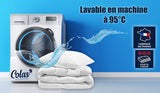 COLAS NORMAND Warme Steppdecke, waschbar bei 95 °C, 240 x 220 cm, langlebig, Mikrofaser, weich, seidig und bequem, hergestellt in Frankreich, weiß Steppdecken und Steppdecken Naty Shop