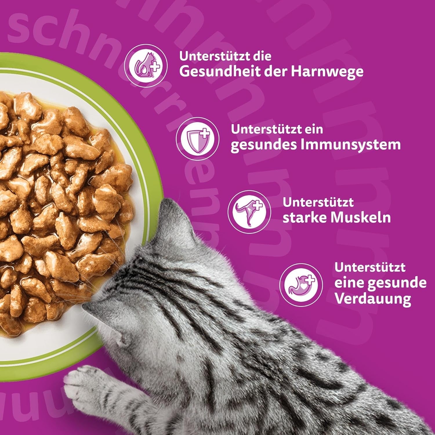 Whiskas Senior 7+ Nassfutter Gemischte Auswahl in Soße, 48 Beutel, 12x85g (4er Pack) – Hochwertiges Nassfutter für Katzen ab 7 Jahren