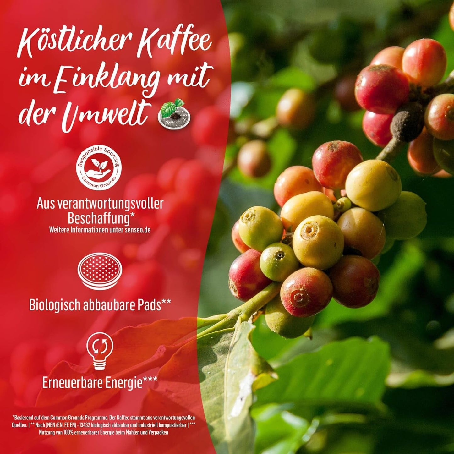 Senseo Pads Mild, Vorratspackung, 5 x 32 Getränke, 160 Kaffeepads
