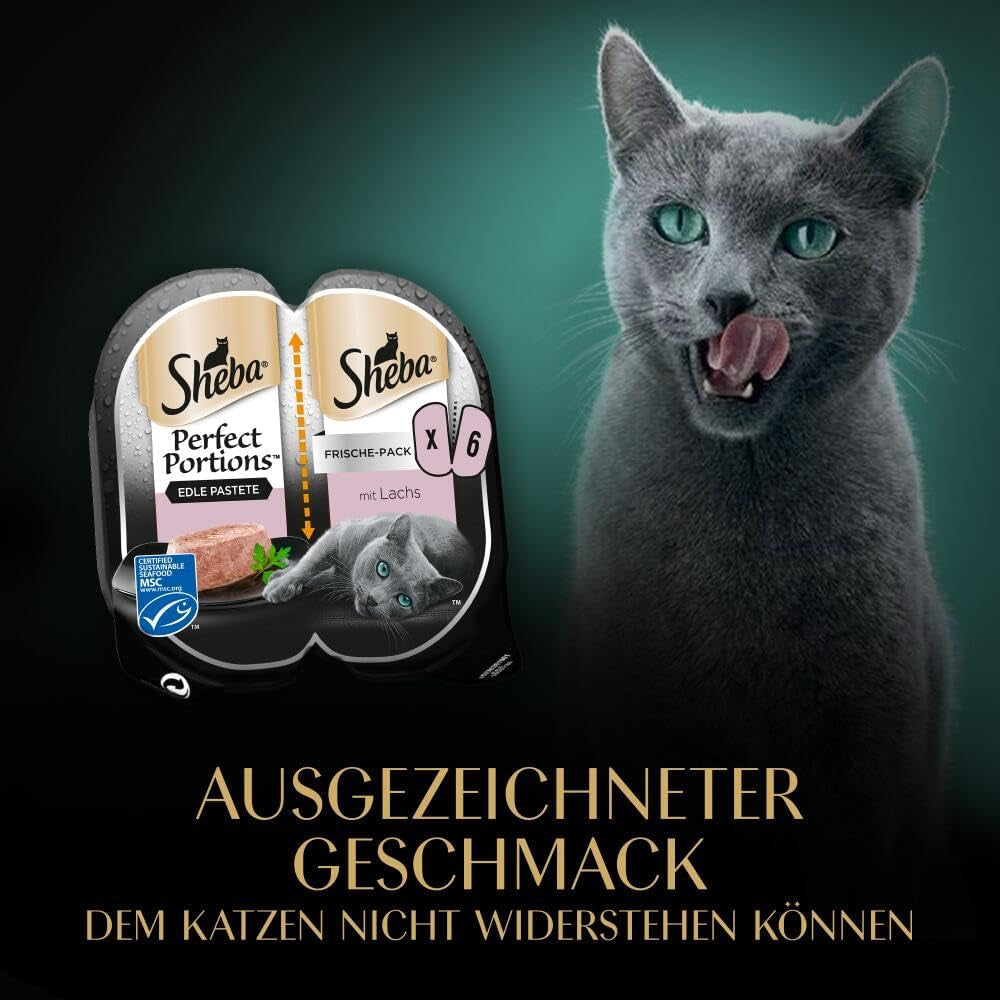 SHEBA Perfect PORTIONS Pastete für Katzen mit Lachs, MSC-zertifiziert, 8 x 3 x (2 x 37,5g) = 225g (Verpackung wird aktualisiert)