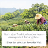 Ti Guan Yin Bio-Oolong-Tee 100 g – hochwertiger Bio-Oolong-Tee aus China – Wu Long (Zeremonialqualität) – für Teeliebhaber und Kenner – Mycupoftea