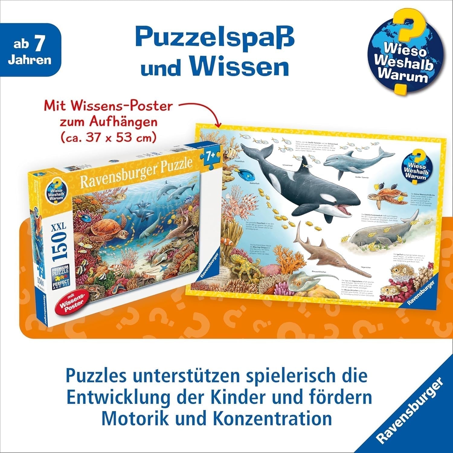 Ravensburger Kinderpuzzle 13411 - Meeresbewohner am Korallenriff - Warum? Warum? Warum? Puzzle 150 Teile XXL + Wissensposter, für Kinder ab 7 Jahren Puzzle Naty Shop
