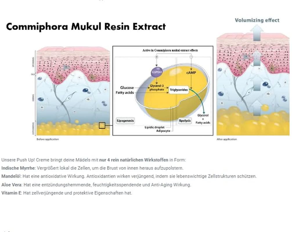 Brustvergrößerungs- und Bruststraffungscreme, natürliche Inhaltsstoffe – PUSH UP! von Elaine Perine ™ Kosmetik und Schönheit Naty Shop