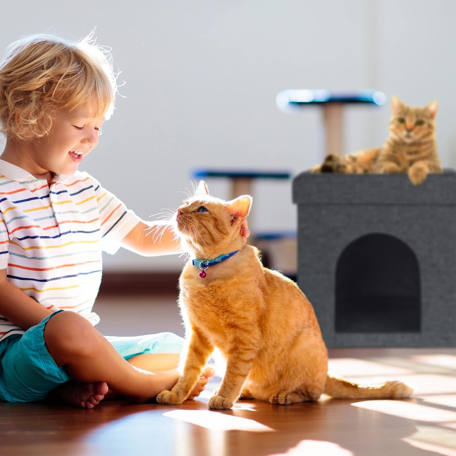 Decken und Möbel, Haustiere, Höhlen und Häuser, Katzen, Katzenbetten, Katzenbetten, Matratzen