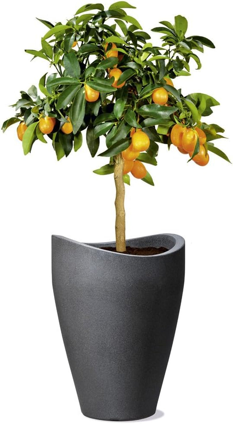 Scheurich Wave Globe High, hoher Kunststoffbehälter, schwarzer Granit, Durchmesser 29,8 cm, Höhe 40 cm, Volumen 6 l.