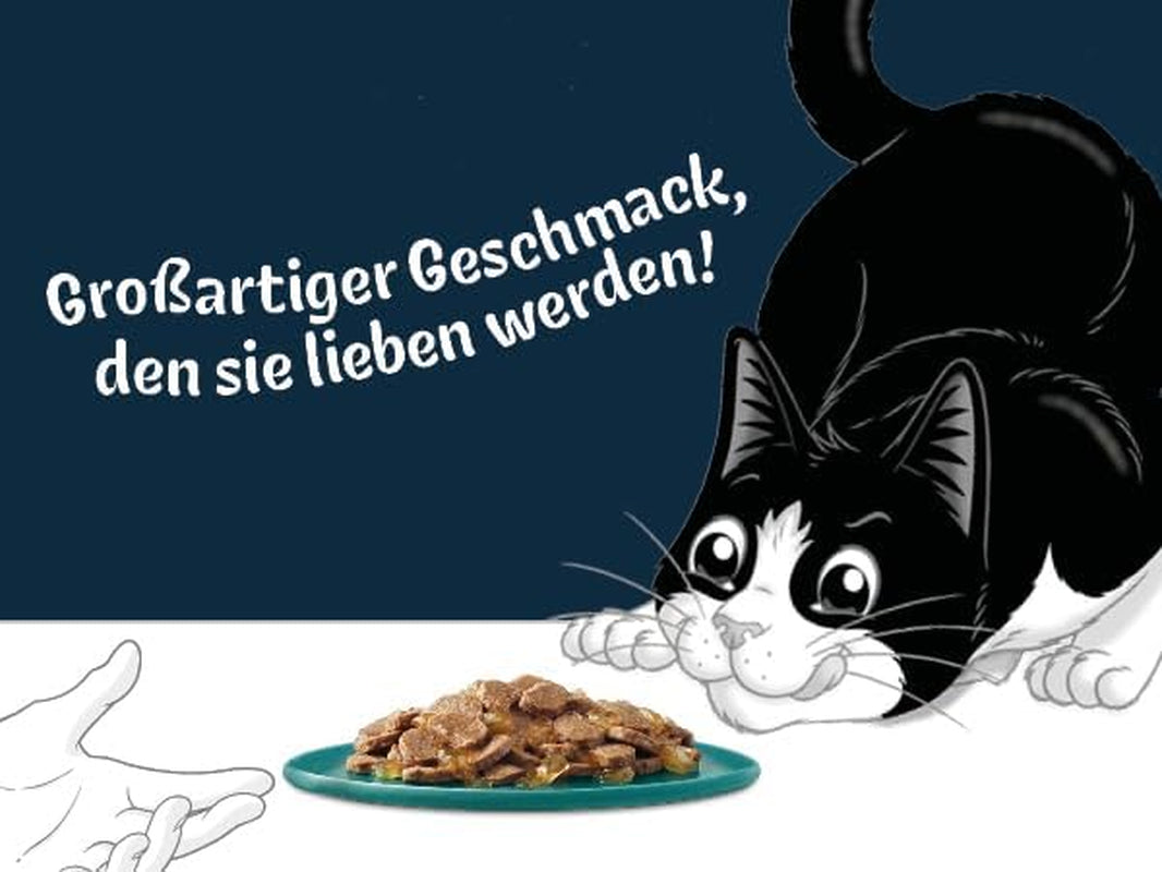 Felix Delicious Nass-Schnittfutter für Katzen in Gelee, Geschmacksvielfalt aus Wasser, 6er-Pack (6 x 10 Beutel à 80g)