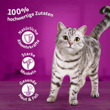 Whiskas 1+ Nassfutter für Katzen mit Huhn in Gelee, 28x85g (1 Packung) – Hochwertiges Nassfutter für ausgewachsene Katzen in 28-Portionen-Beuteln