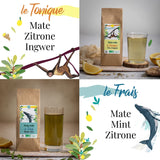 ORIGEENS BIO MATE TEE GESCHENKSET X4 I Yerba Mate Bio 4X80G I Yerba Mate Teeset, Geschenkidee