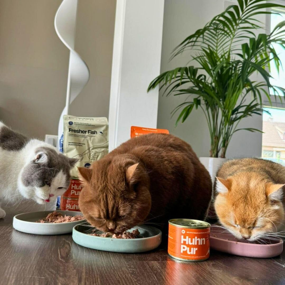 The Better Cat – Getreidefreies Nassfutter mit extra hohem Fleischanteil – Premium getreide- und zuckerfreies Katzenfutter (200g, Huhn)