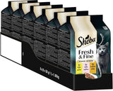 Sheba Portionsbeutel Nassfutter für Katzen, Multipack Fresh & Fine in Soße mit MSC-Huhn und Lachs, 6x6x50g - Feine Mahlzeiten für Katzen in Soße