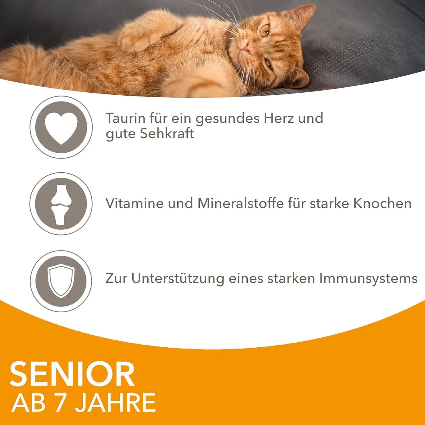 IAMS Delights Nassfutter für Katzen mit Huhn in Soße für ältere Katzen ab 7 Jahren – Probiergröße, Einzelbeutel, 1 x 85 g