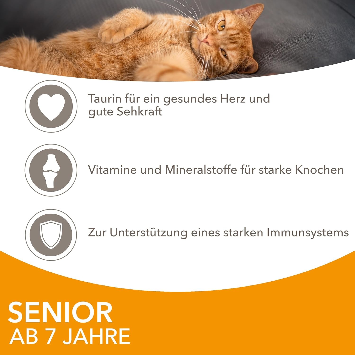 IAMS Delights Nassfutter für Katzen mit Huhn in Soße für ältere Katzen ab 7 Jahren – Probiergröße, Einzelbeutel, 1 x 85 g