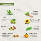 Indus Valley Natural Damage Free Gel-Haarfarbe | Ammoniakfrei, vegan und tierversuchsfrei | Bis zu 100 % Grauabdeckung, langanhaltende Ergebnisse | Helles Kastanienbraun 5,0 (20 Gramm + 200 ml) Naty Shop Haarfärbemittel