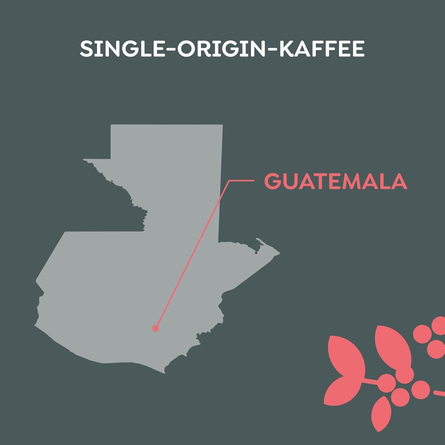 Melitta Manufaktur-Kaffee Guatemala Honig, Spezialitäten, 250g, Ganze Bohnen, Ungemahlen, Single-Origin, Sanfte Trommelröstung, Geröstet in Deutschland, Stärke 3