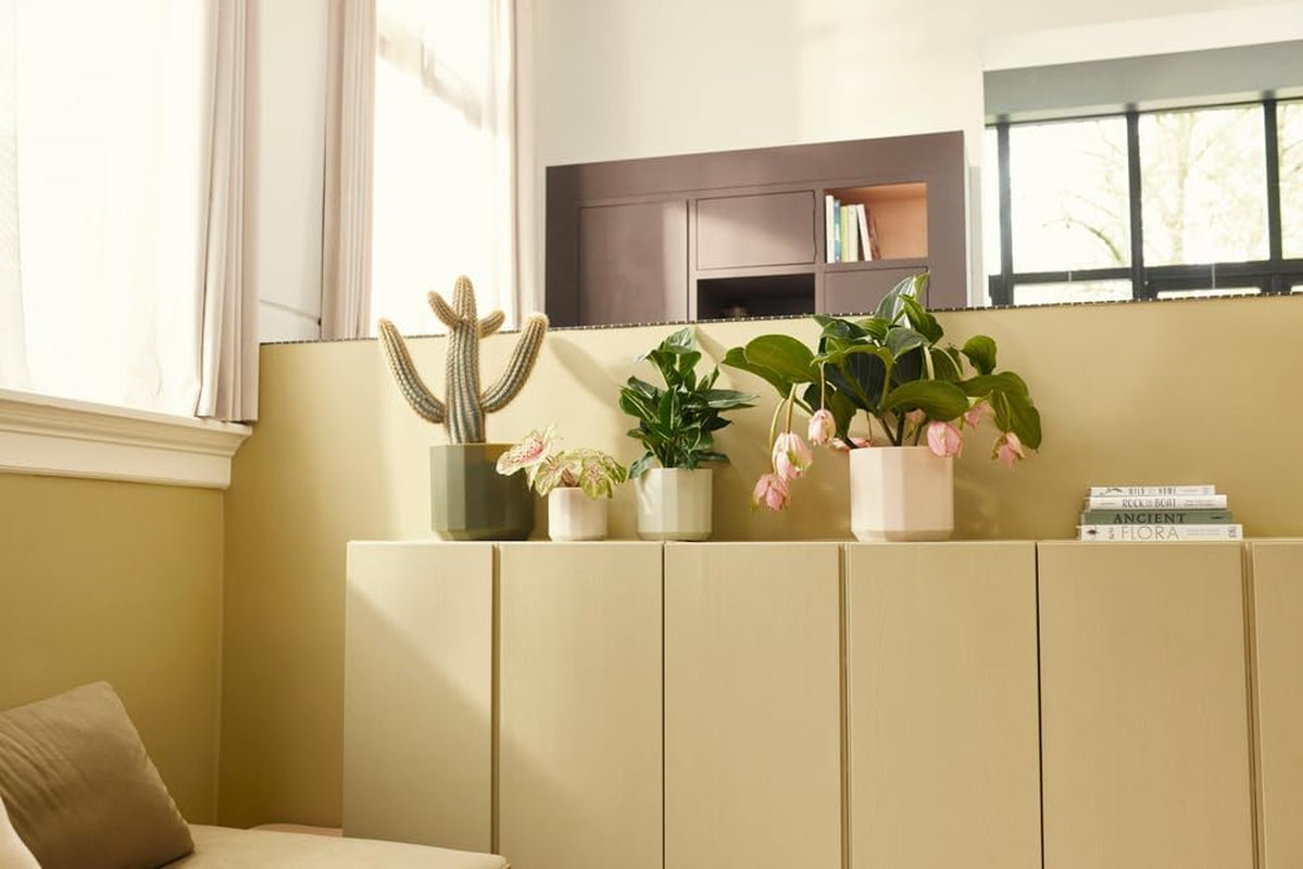 Runder Topf elho Facet 23 cm – für den Innenbereich – 100 % recycelter Kunststoff – Ø 22,7 x H 20,4 cm – Rosa/Mandelrosa