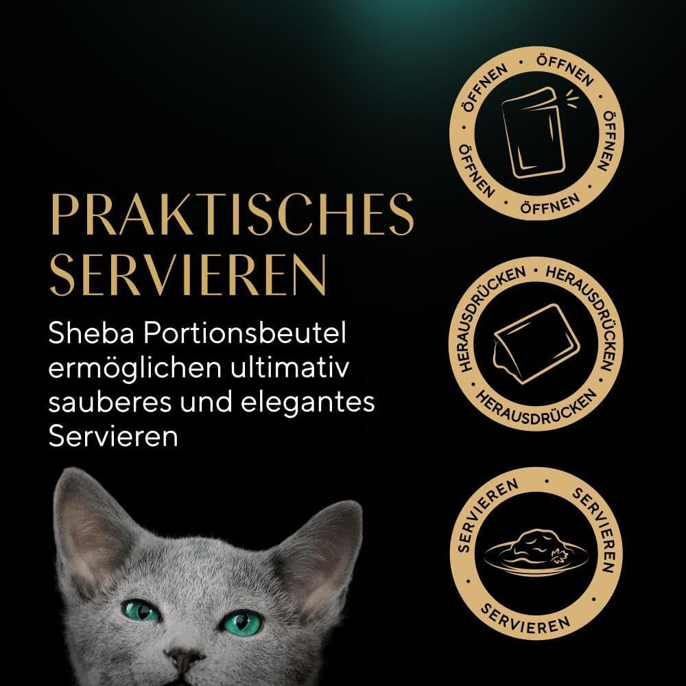 Sheba Nassfutter für Kätzchen, in sortierten Beuteln, mit Lachs (MSC) und Huhn in Sauce, Multipack 40x85g