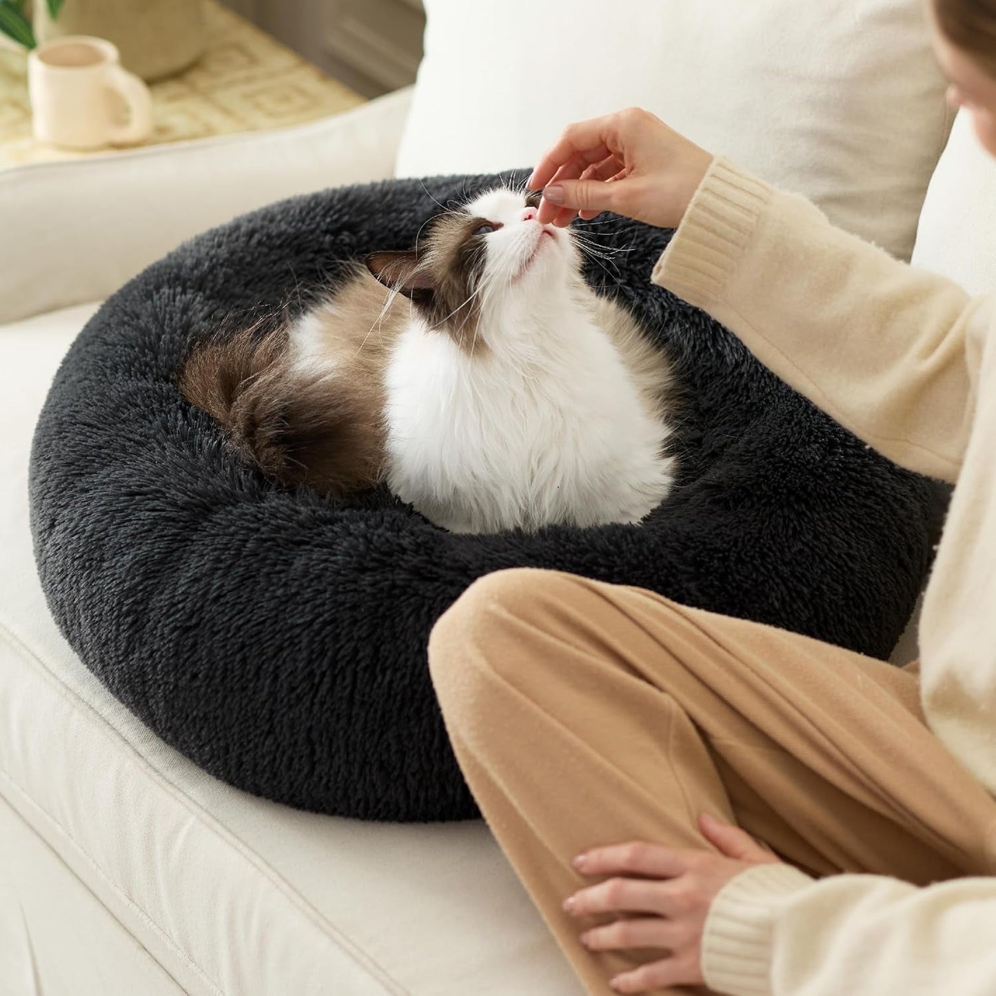Betten, Decken & Möbel, Haustiere, Katzen, Katzenbetten, Katzenbetten, Matratzen
