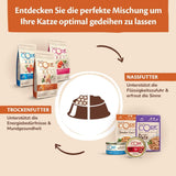 Wellness CORE 98 % 12 x 85 g, Huhn und Lachs – Nassfutter für Katzen, dicke Pastete, getreidefrei, natürlich, hypoallergen, proteinreich, reich an Fleisch