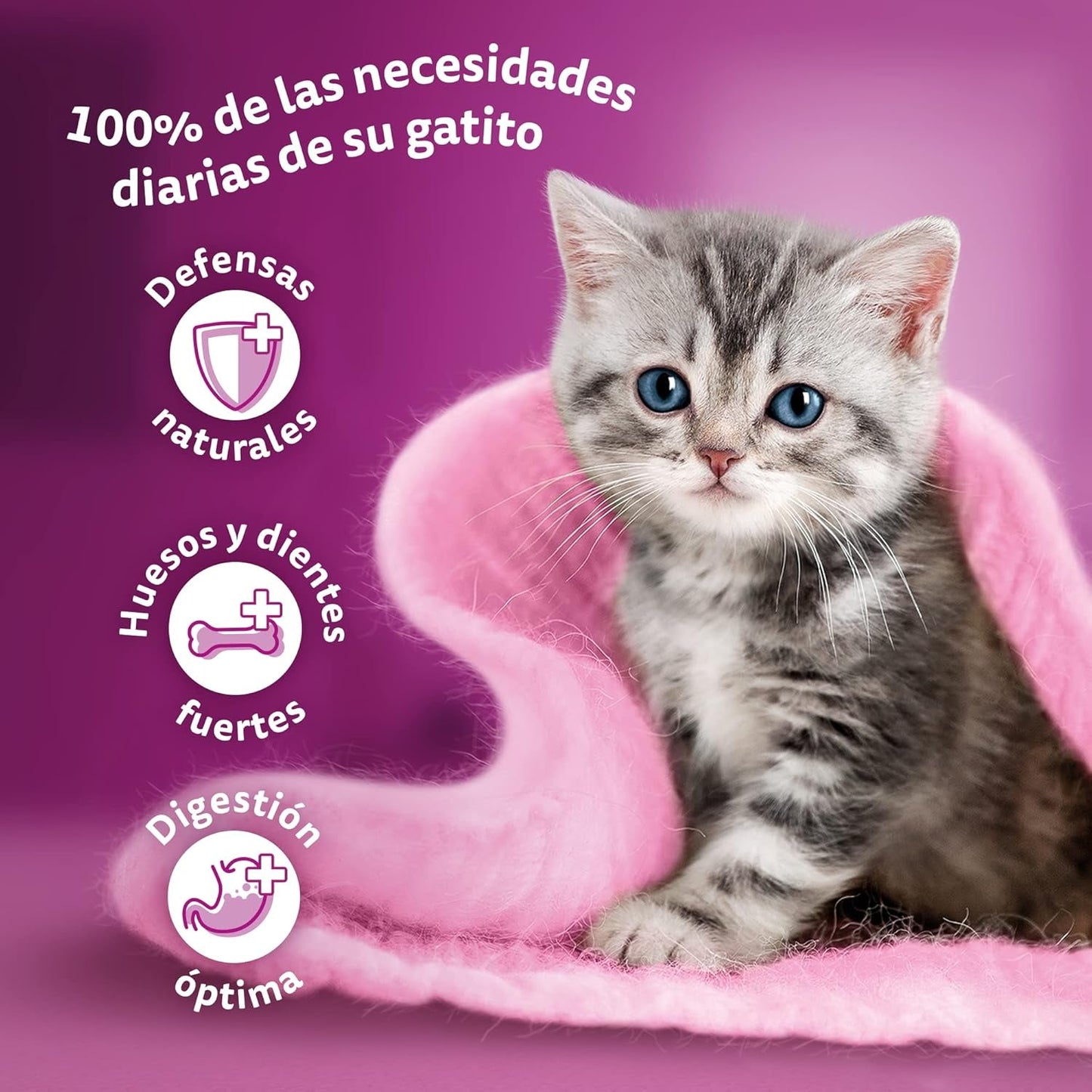Whiskas Junior Classic Nassfutter für Katzen, 13 x 4 x 85 g