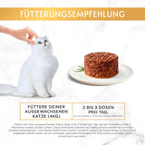 Gourmet Gold Refined Ragout Chicken Nassfutter für Katzen, 12er-Pack (12 x 85 g)