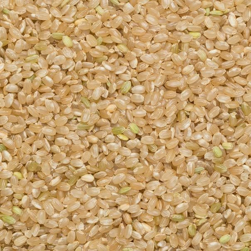 Vollkorn-Braunreis von Wholefood Earth – gentechnikfrei – natürlich – vegan – milchfrei – ohne Zuckerzusatz, 3 kg