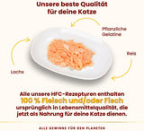 Almo Nature HFC Jelly – Nassfutter für ausgewachsene Katzen – Lachs – Human Grade, Glutenfrei & Monoprotein – 6 x 70 g