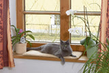 Decken und Möbel, Haustiere, Katzen, Betten für Katzen, Kratzmatten, Katzenbetten, Matratzen
