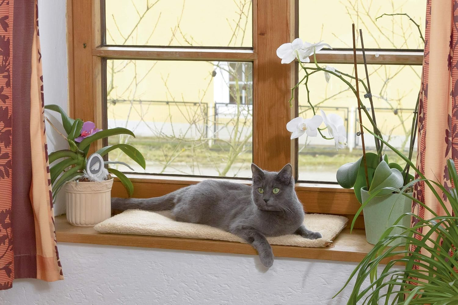 Decken und Möbel, Haustiere, Katzen, Betten für Katzen, Kratzmatten, Katzenbetten, Matratzen