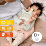 Fehn Knisterseestern – Babyspielzeug zum Greifen und Spielen & Knisterspielzeug für Babys und Kleinkinder ab 0+ Monaten & SIGIKID 41179 Schmetterling Greifling Rot Grün Sterne Babyspielzeug Naty Shop