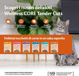 Wellness CORE Tender Cuts 6 x 85g, Chicken Selection Mix – Nassfutter für Katzen, zarte Stücke in Soße, getreidefrei, natürlich, hypoallergen, proteinreich, hoher Fleischanteil