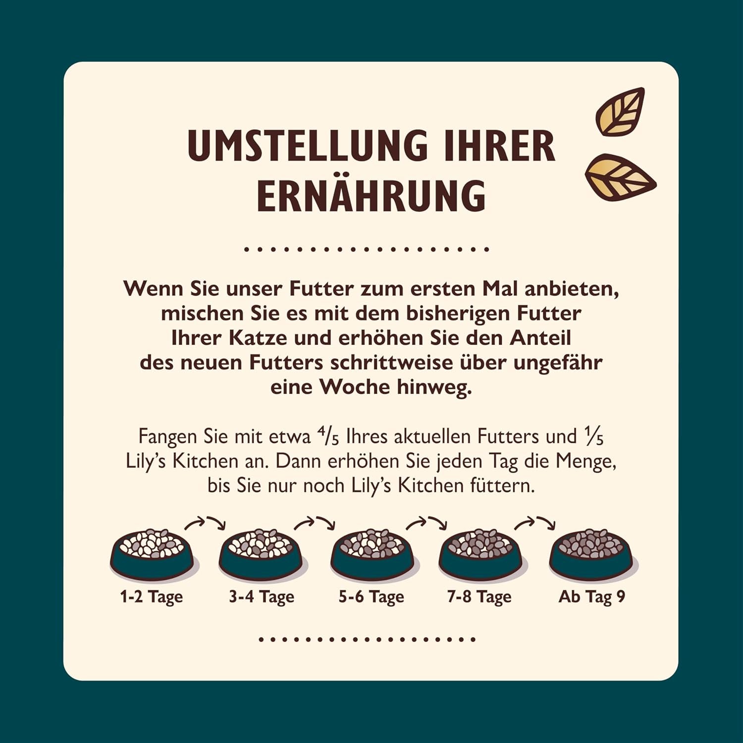 Lily's Kitchen Aus Naturichen Ingredient hermestellung Zerkleinerte Filets in Gelee mit Hühnchen und Lachs Ausgewachsenes Nassfutter für Katzen 70 g Dose