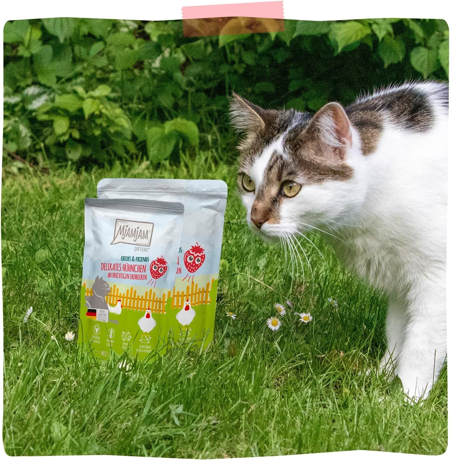 MjAMjAM – Premium-Nassfutter für Katzen – zartes Huhn mit fruchtigen Erdbeeren 400 g, 6er-Pack (6 x 400 g), natürlich mit extra Fleisch