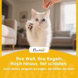 Betten und Sofas, Decken und Möbel, Haustiere, Katzen, Betten für Katzen, Katzenbetten, Matratzen