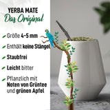ORIGEENS BIO YERBA MATE TEE 1 KG – Das Original I Ungeröstet, Blätter, ohne Stiele, Staub und Krümel I Energetisierendes und entgiftendes Getränk