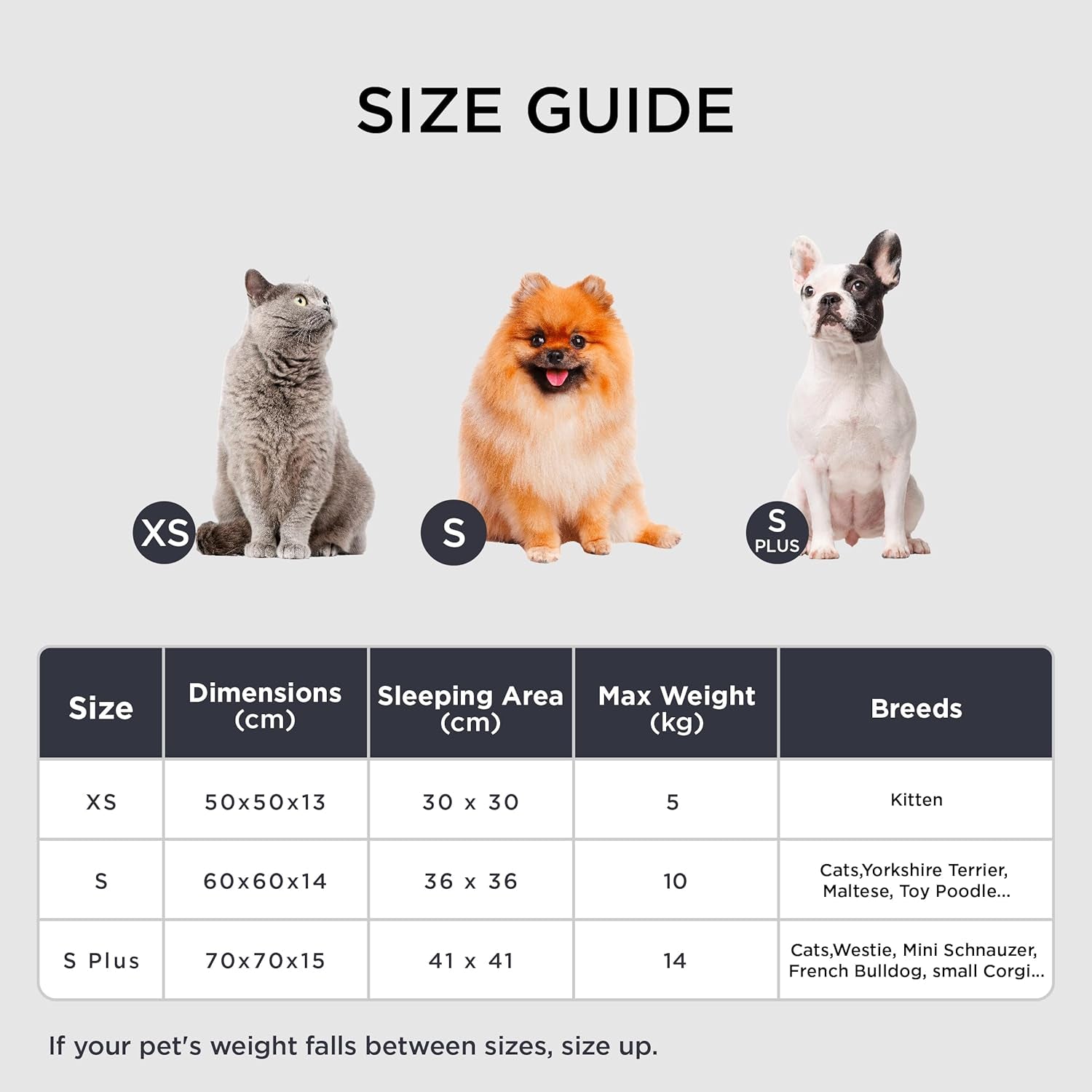 Betten, Decken & Möbel, Haustiere, Katzen, Katzenbetten, Katzenbetten, Matratzen