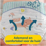 Pampers Premium Protection Größe 6, 74 Windeln, 13 kg+, Nr. 1 für Komfort und Schutz für empfindliche Haut