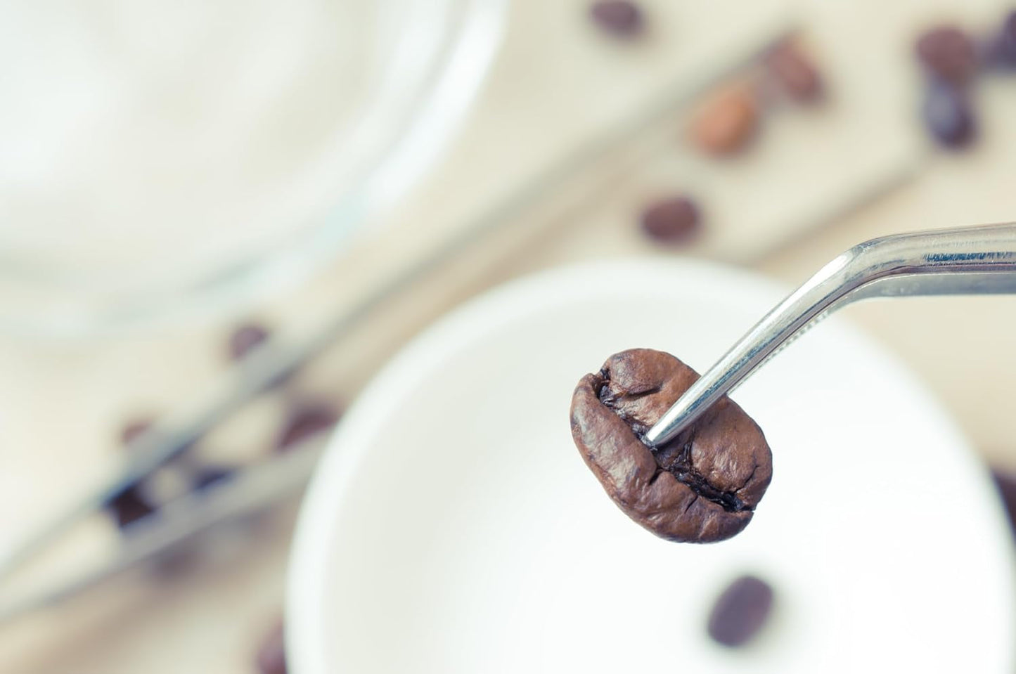 NIK CAFE' – Classico-Mischung – geröstete Kaffeebohnen. Seine Exzellenz, der Robuste. 100 % robust