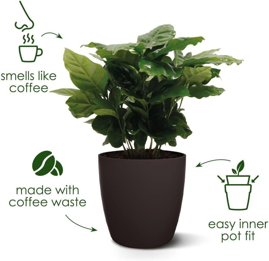 elho The Coffee Collection, runde Kanne für den Innenbereich, 18 cm, aus Kaffeesatz und recyceltem Kunststoff – Braun/Espressobraun