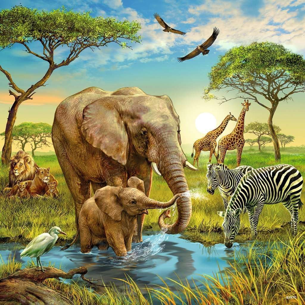 Ravensburger Puzzle für Kinder – 09330 Tiere der Erde – Puzzle für Kinder ab 5 Jahren, mit 3X49 Teilen Puzzle Naty Shop