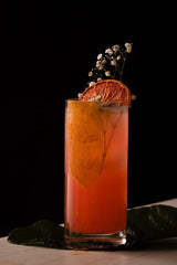90gr getrocknete Grapefruit für Cocktails – Zuckerfreie Trockenfrüchte für Cocktails, Dekorationen, Süßwaren, Weihnachten, Getränke – 100 % natürlich, getrocknete Scheiben ohne Zusatzstoffe, dehydrierte Produkte Naty Shop
