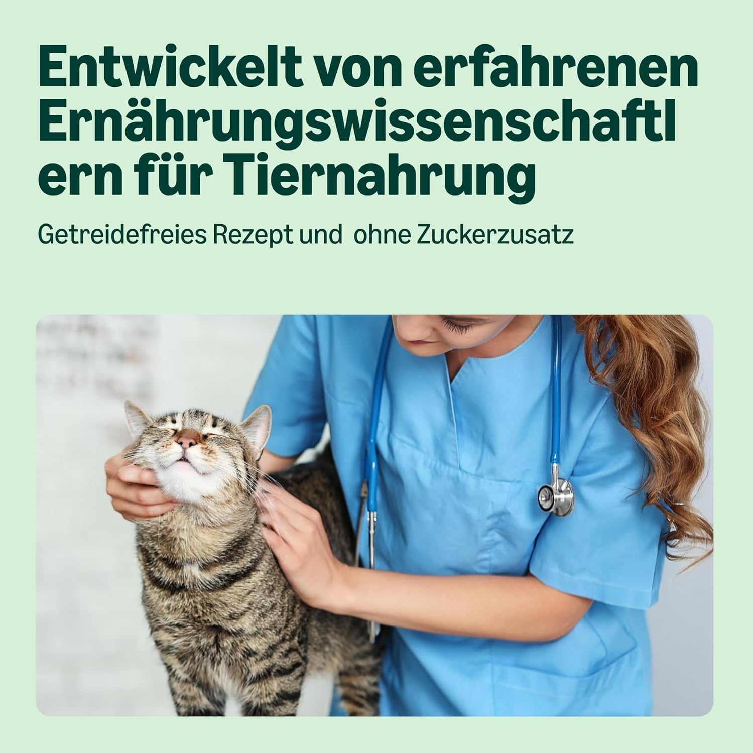 Amazon Getreidefreies Nassfutter für Katzen, Hühnerstücke in Gelee in Dosen, 12 x 405 g