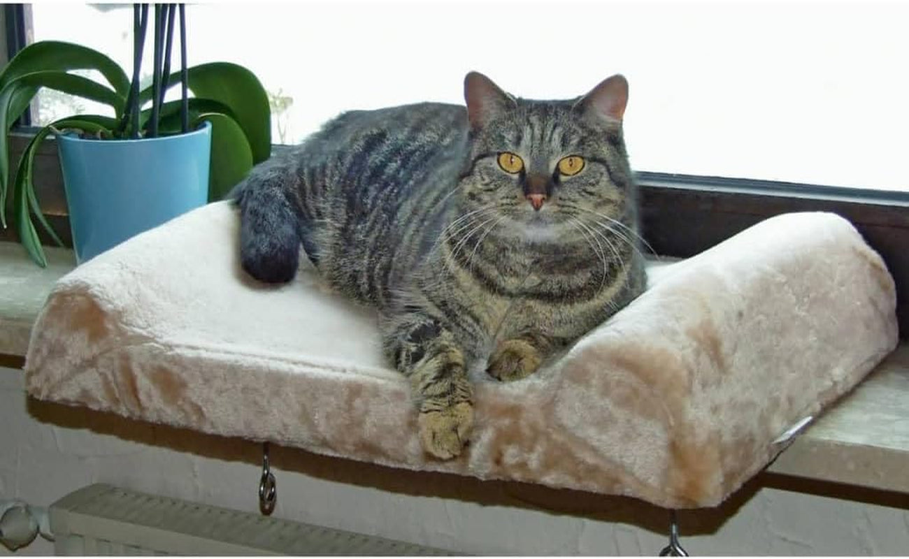 Decken und Möbel, Fensterbänke, Haustiere, Katzen, Katzenbetten, Katzenbetten, Matratzen