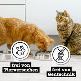 Catz Finefood Purrrr Collection I – Monoprotein-Nassfutter für Katzen – getreidefrei, zuckerfrei, hypoallergen – hoher Fleischanteil – Nassfutter für Katzen im Multipack – in Beuteln, 85 g (12 Packungen)
