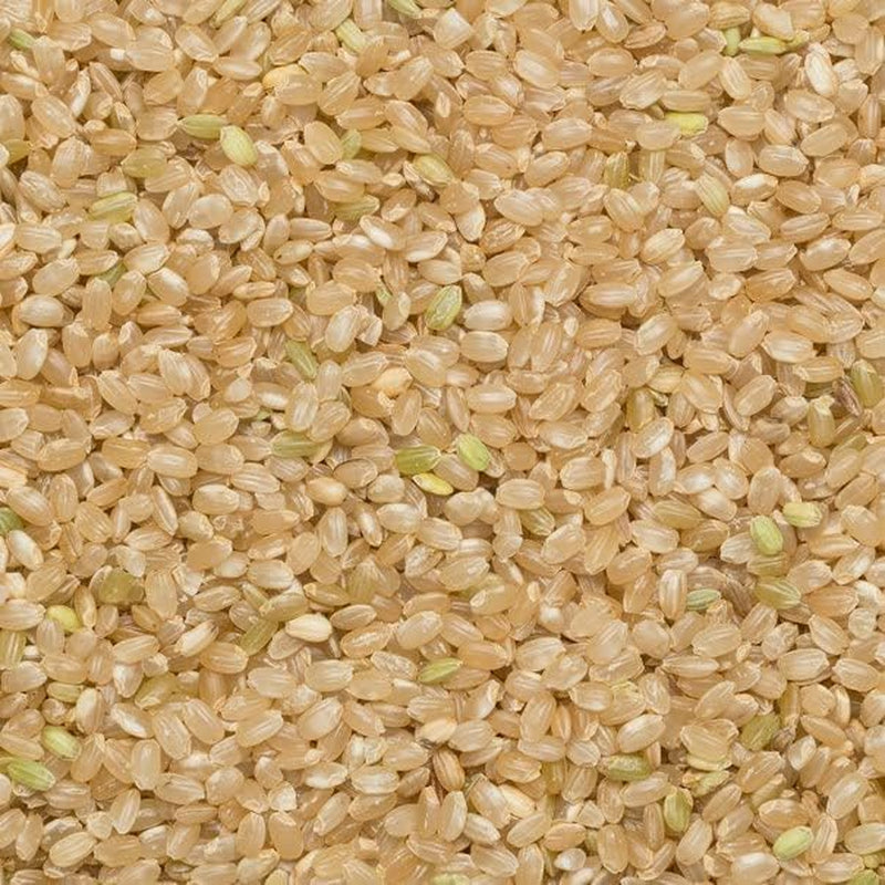 Vollkorn-Naturreis von Wholefood Earth – gentechnikfrei – natürlich – vegan – milchfrei – ohne Zuckerzusatz, 2 kg